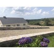 Benglenisky House, Ballynahinch