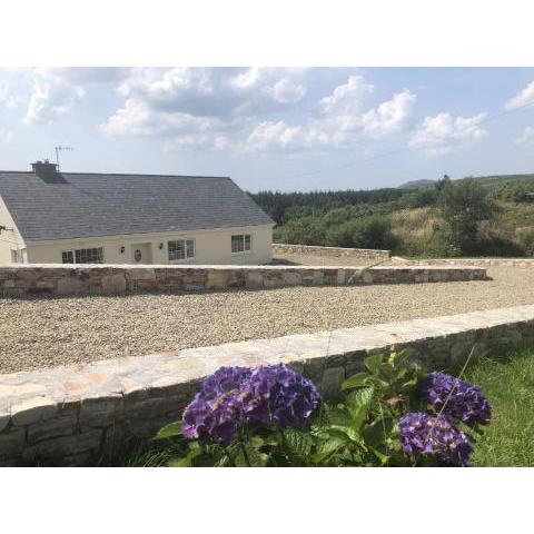 Benglenisky House, Ballynahinch