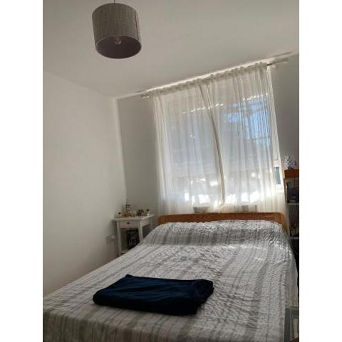Bright and Comfortable Apartment