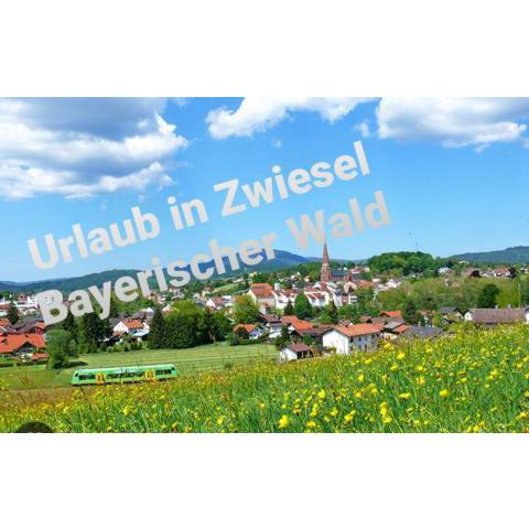 Ferienwohnung Rachel im Bayerischen Wald