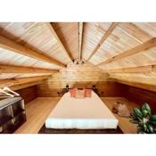 Mountain Eco Shelter 3