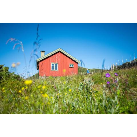 Olestølen