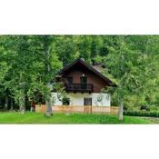 Radovna Mountain Valley Cottage