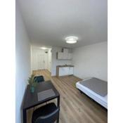 Renewed one bedroom apartment on a good location