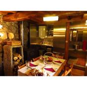 Restored, rustic and rural mini cottage in typical Portuguese village