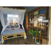 ฟาร์มสเตย์ไร่คืนรัง - RKR Farmstay