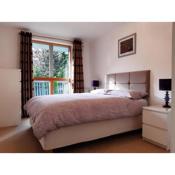 Stylish Wembley Stadium and SSE Arena Apartment, London