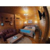 The Blossom - Little log Cabin in Wales