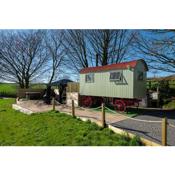 The Shepherd's Shed at Accott Manor