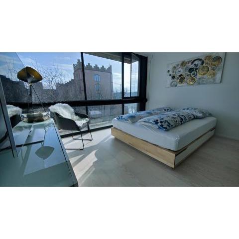 The Ultimate Studio Rhine View