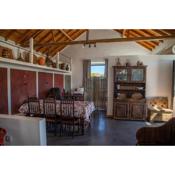 The Wine Cellar - A Adega