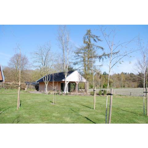 Vrijstaande woning Drenthe bij het bos.